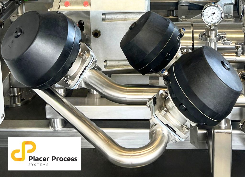 Placer Process Biotech Valves and Piping